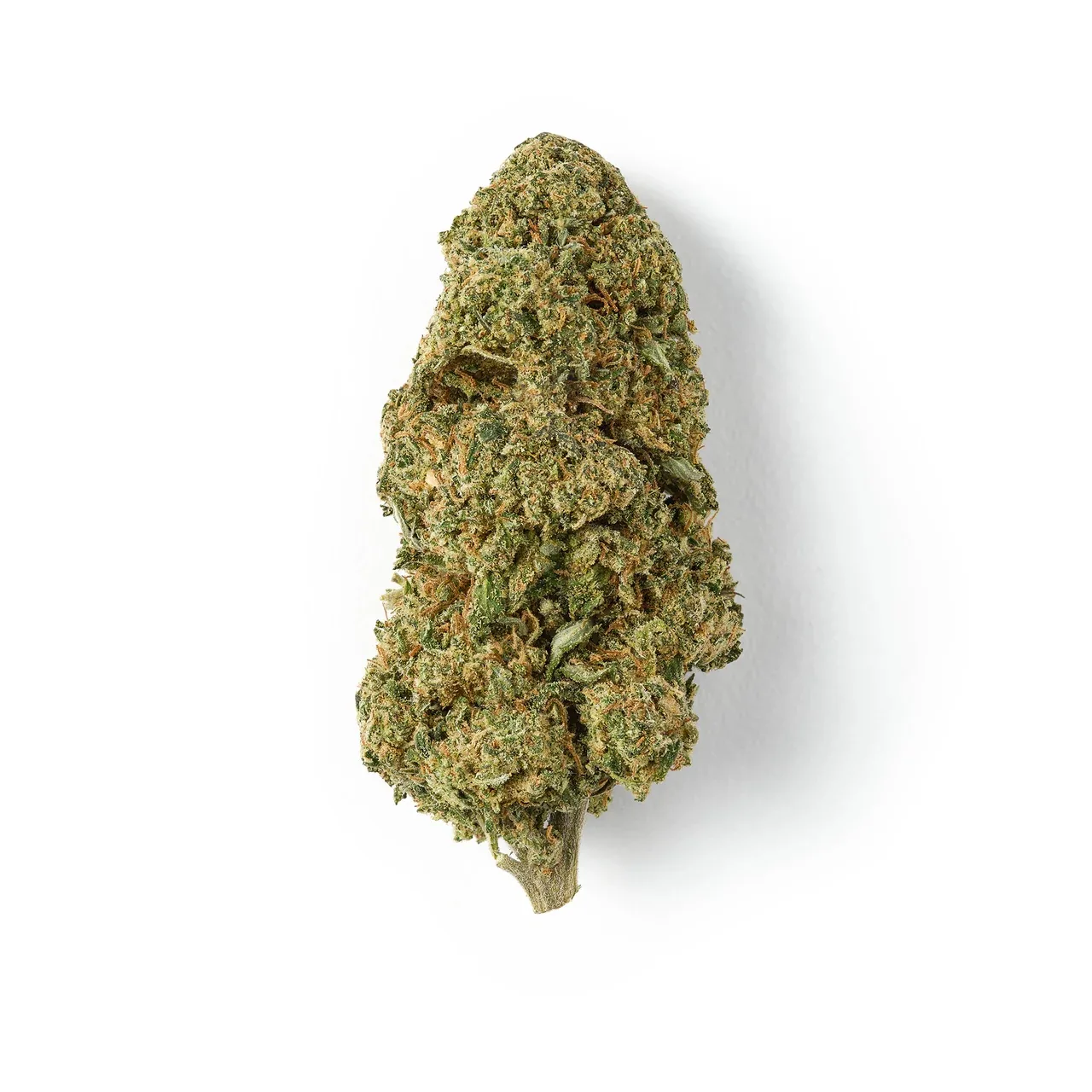 Apple Juice CSA-14