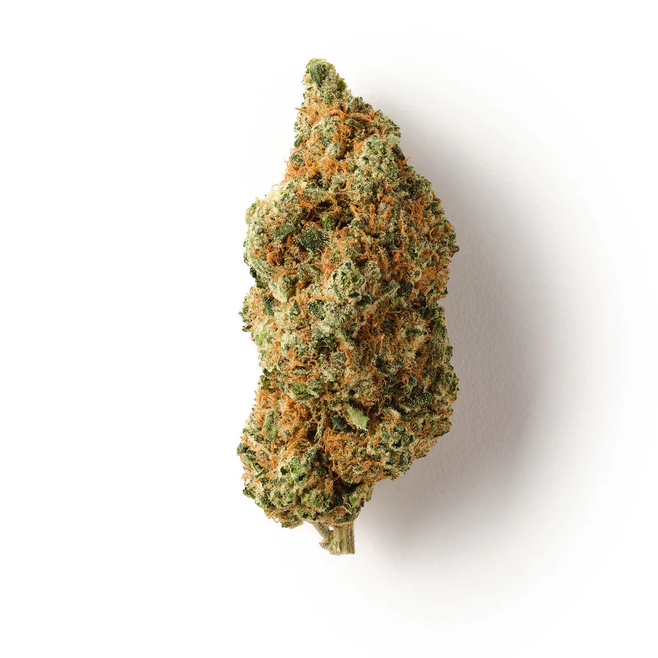 Biscotti Hydro CBDX