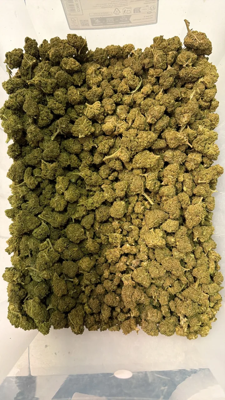 MAC1 Miracle Alien Cookies - Fleurs CBD packagés